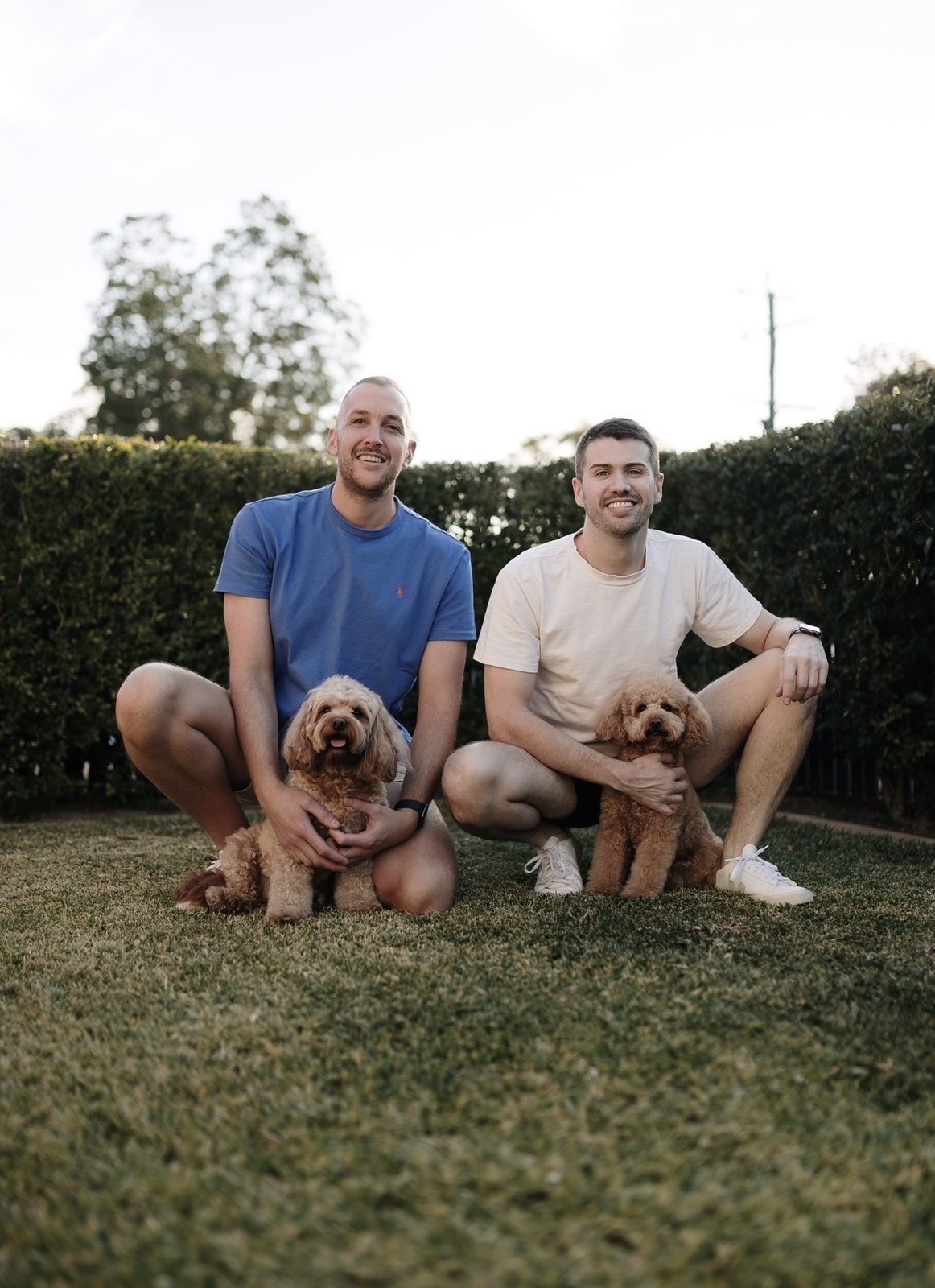 Social boarding with companion dogs