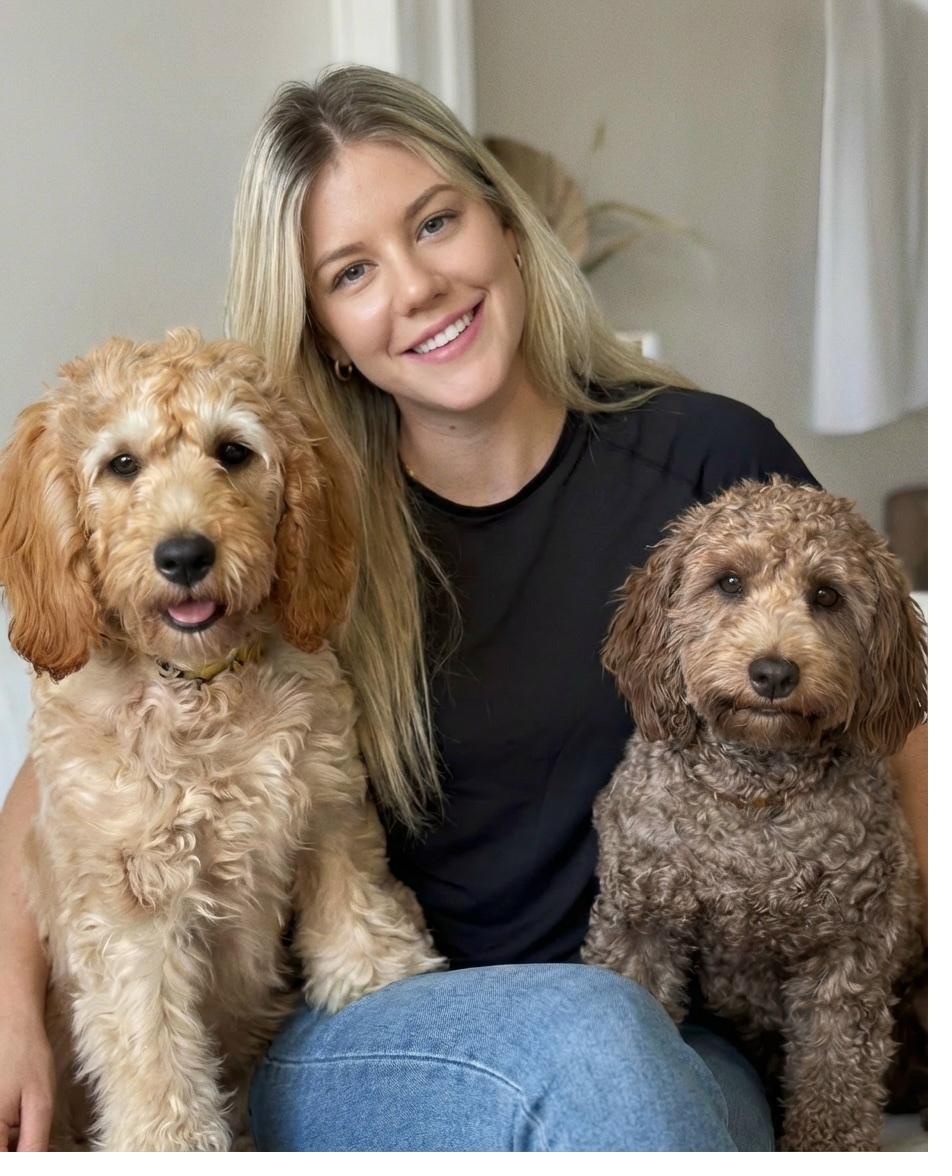 Ash with two Cavoodles