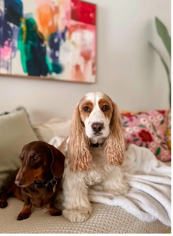 Marley and Peter