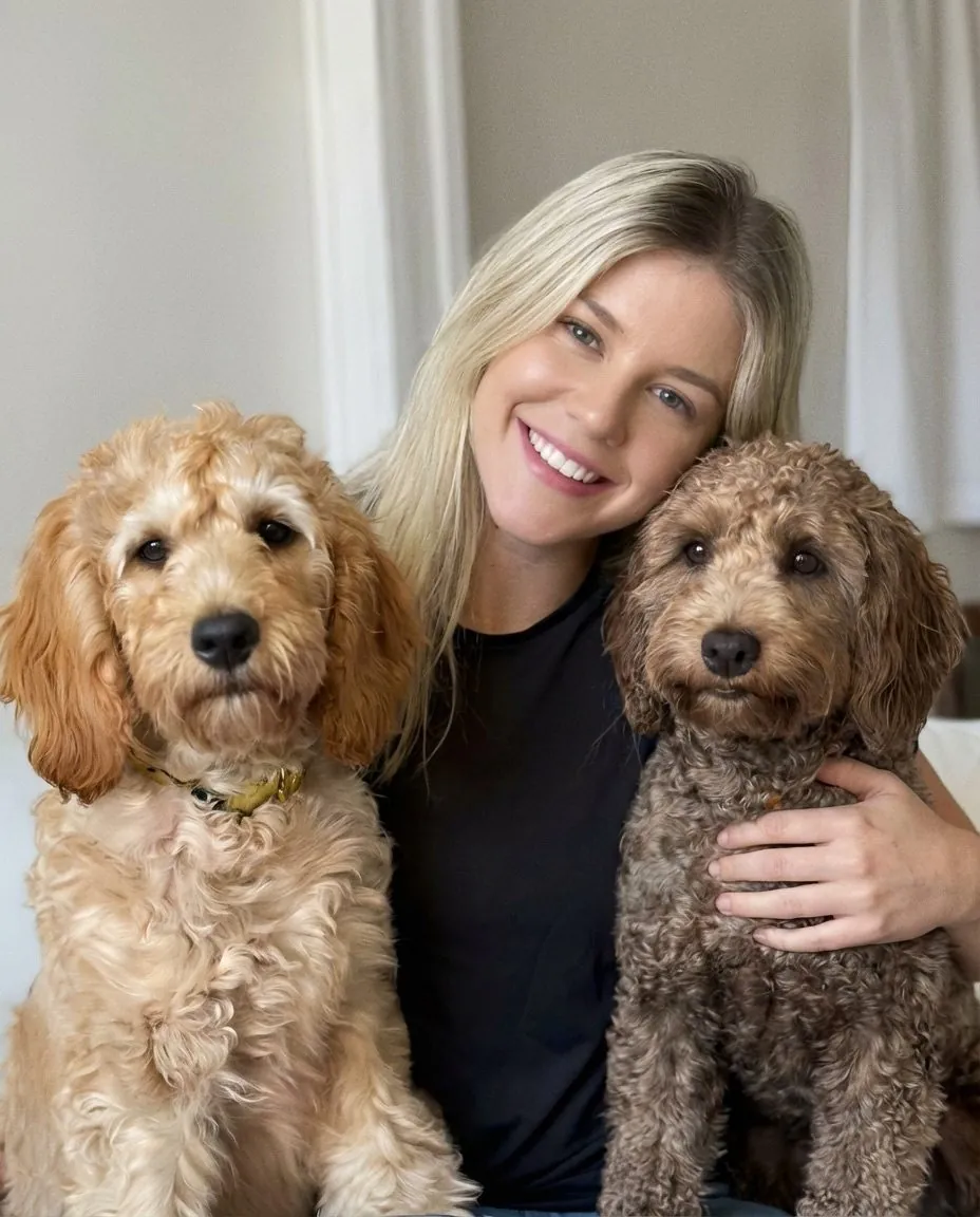 Two dogs beside their carer