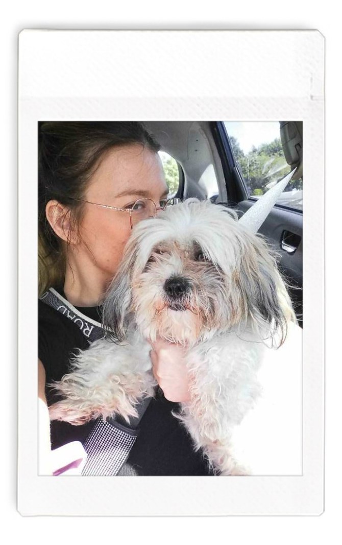 A dog enjoying a stay with Ash