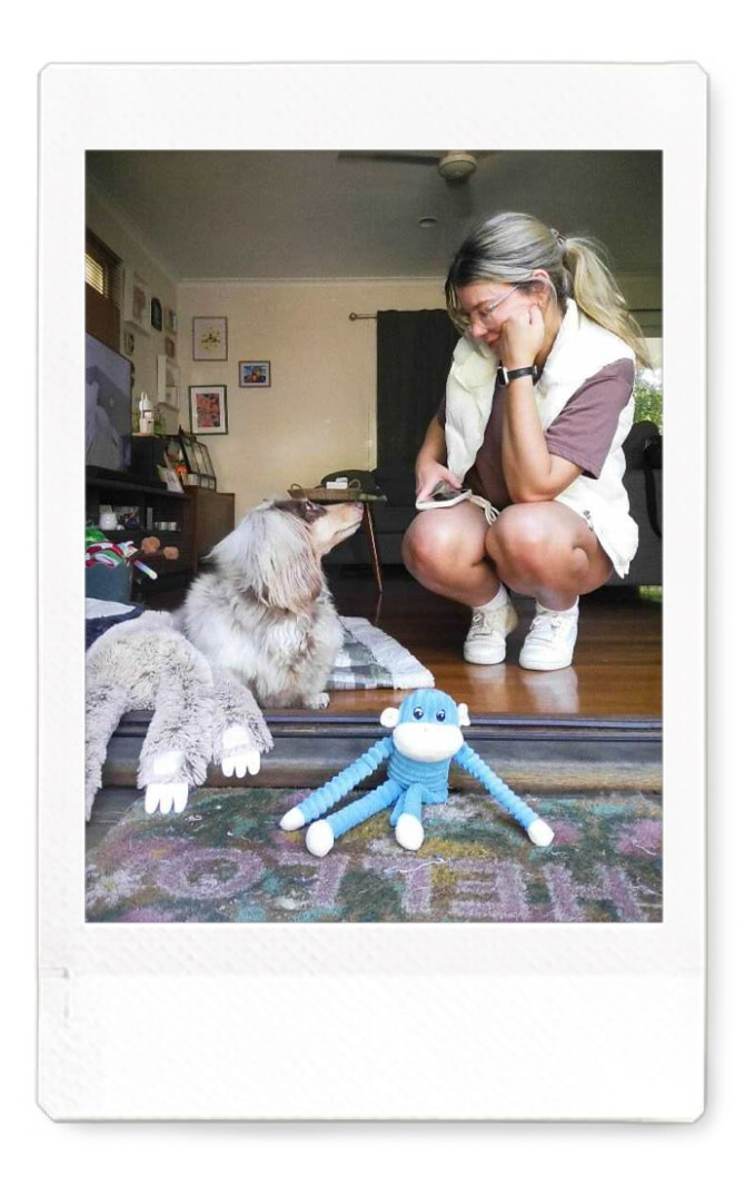 A dog cared for by Ash