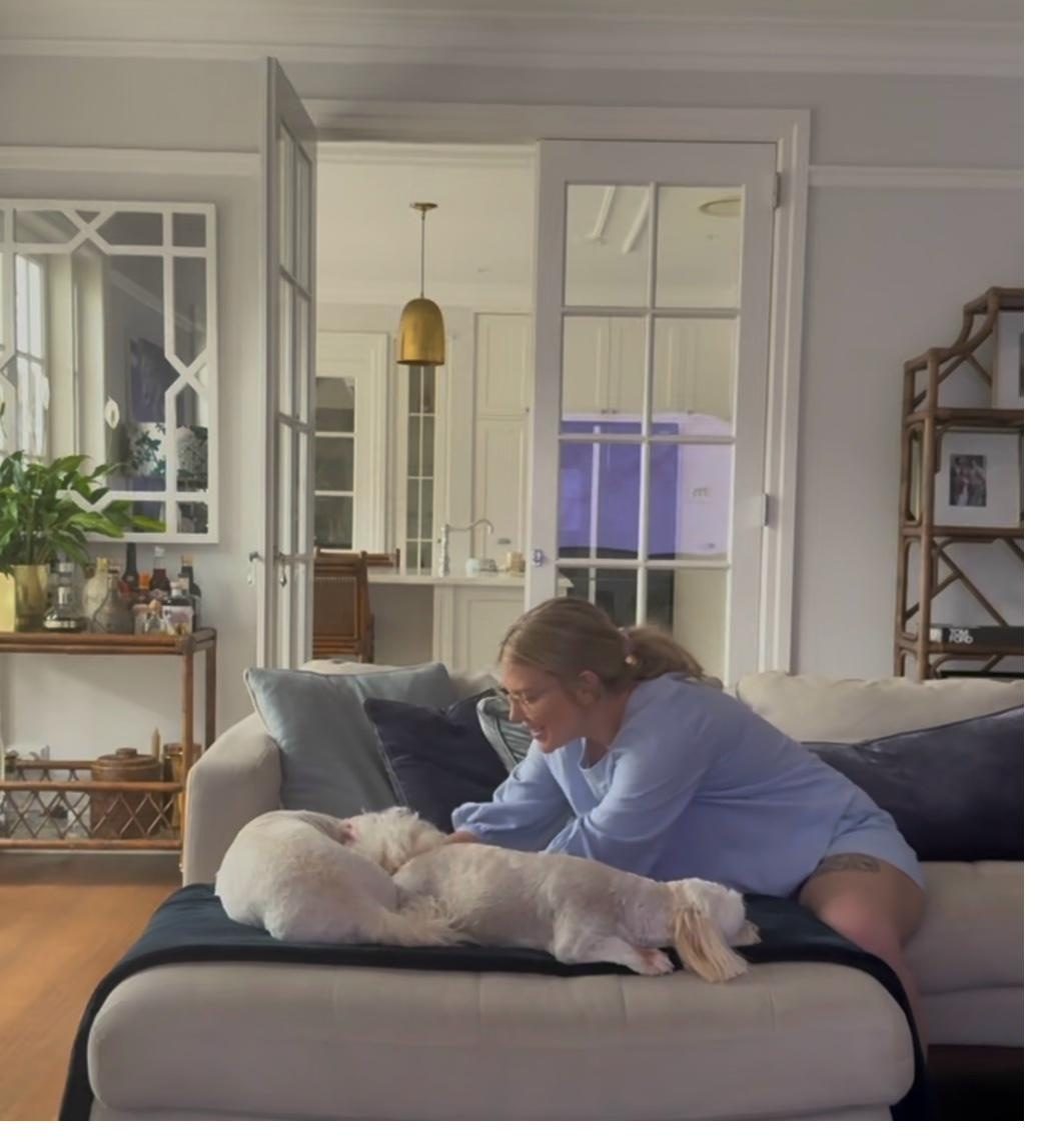 A dog at home compared with a dog boarding in a sitter's house